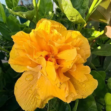 Marina Mar II - Moradia T3