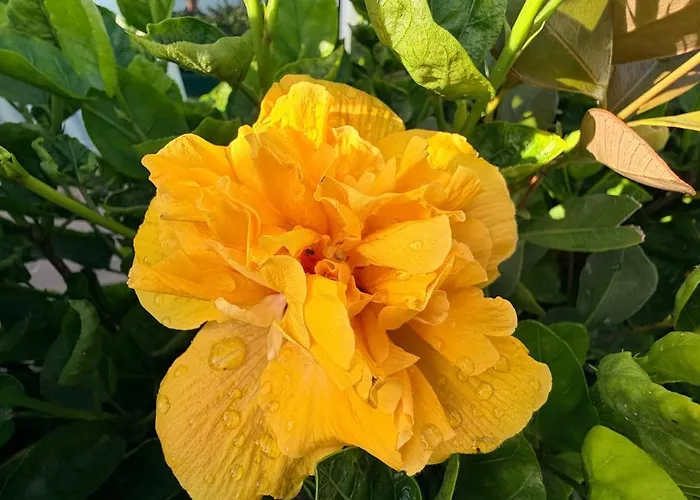 Marina Mar II - Moradia T3